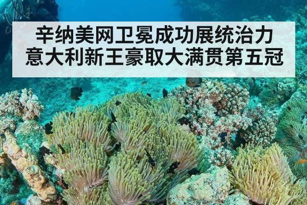 辛纳美网卫冕成功展统治力 意大利新王豪取大满贯第五冠
