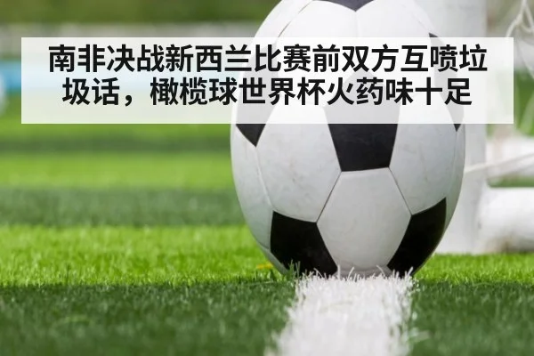 南非决战新西兰比赛前双方互喷垃圾话,橄榄球世界杯火药味十足